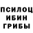 Галлюциногенные грибы Cubensis Closed Eyes