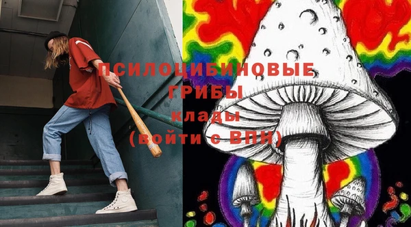 прущие крисы Алексин