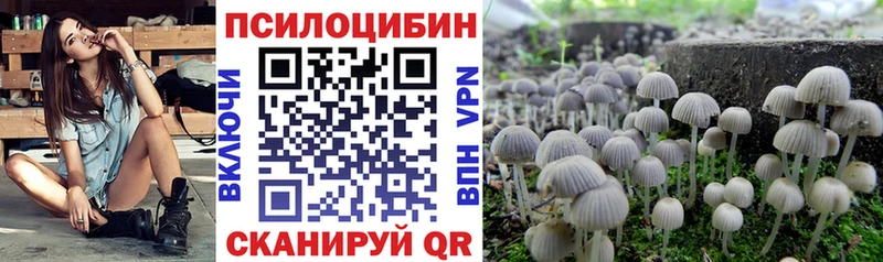 Купить  Усмань  Галлюциногенные грибы GOLDEN TEACHER 